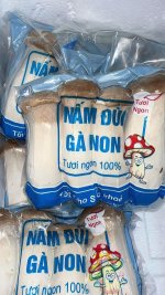 Nấm đùi gà 3 cây